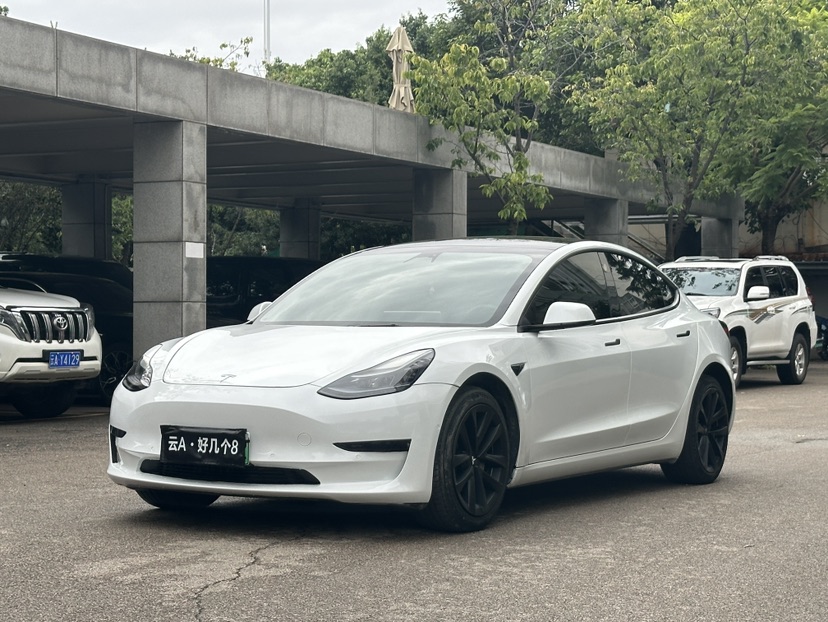 Tesla Model 3 2022 Tesla Model 3 2022 car image