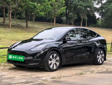 Tesla Model Y 2022 Tesla Model Y 2022 car image