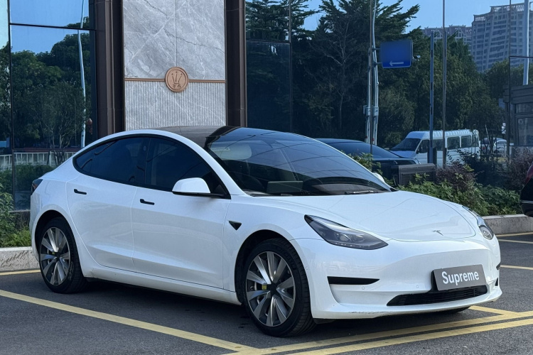 Tesla Model 3 2022 car image #4