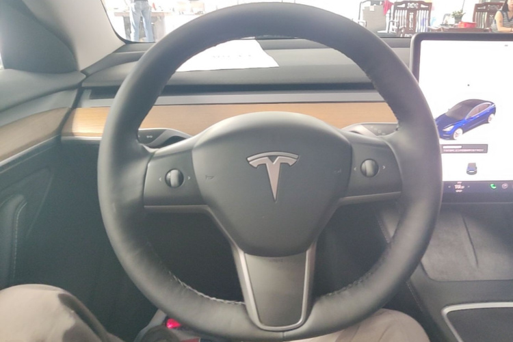 Tesla Model 3 2021 immagine di auto #11