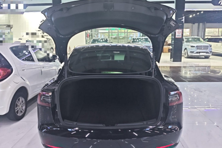 Tesla Model 3 2022 car image #21
