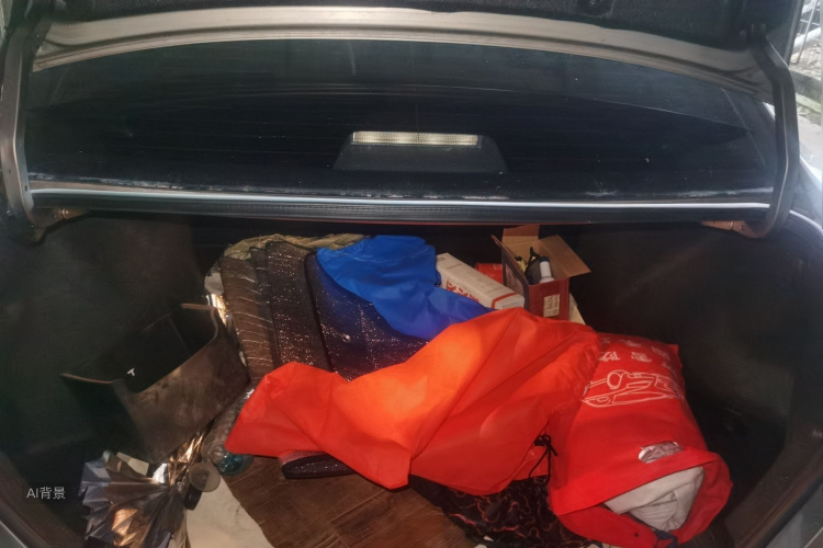 Toyota Corolla 2017 car image #21
