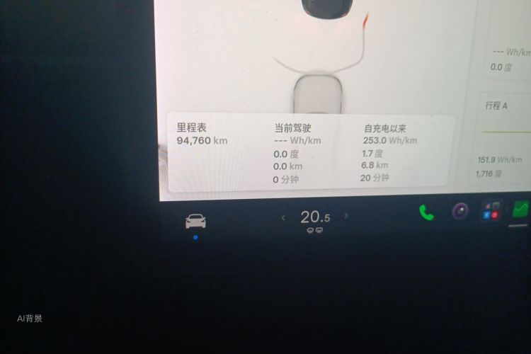 Tesla Model Y 2021 car image #14