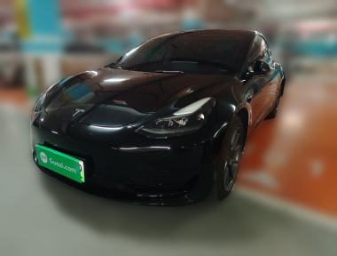 Tesla Model 3 2021 Tesla Model 3 2021 car image
