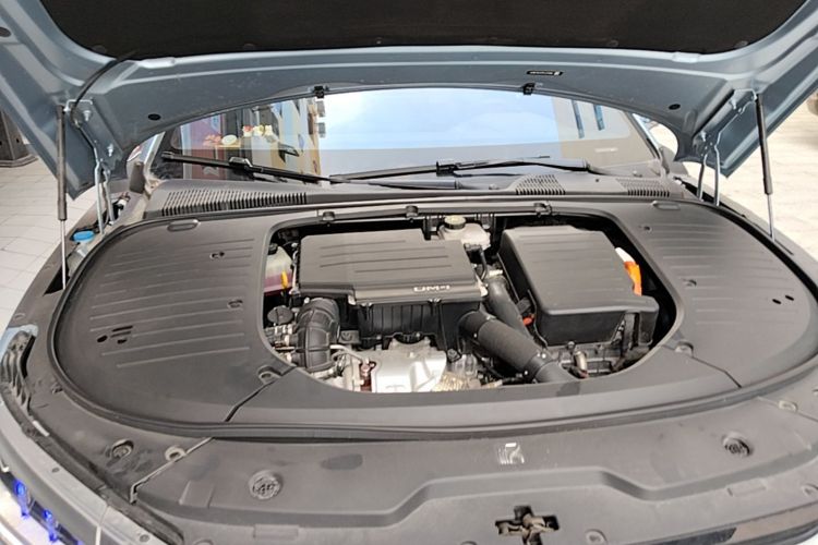 BYD Han 2023 car image #20