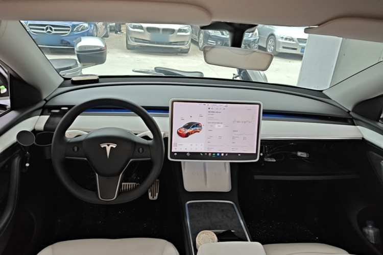 Tesla Model Y 2021 car image #11