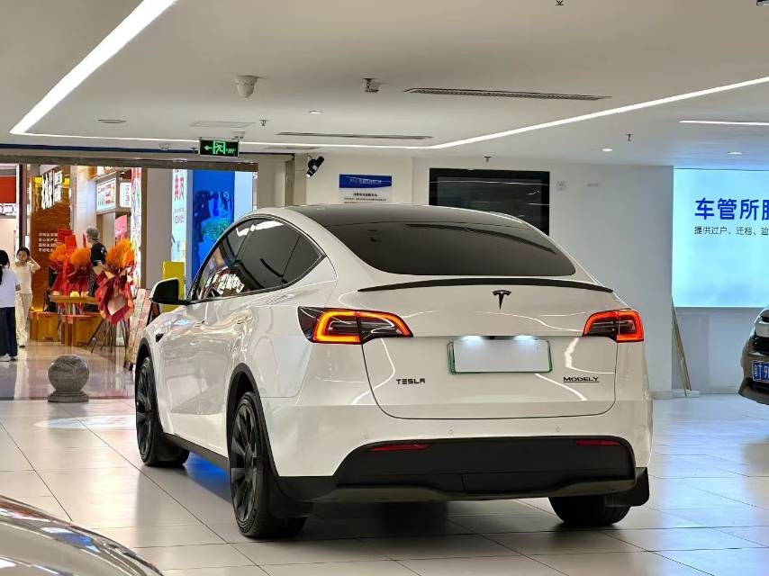 Tesla Model Y 2022 #10 Tesla Model Y 2022 car image #10
