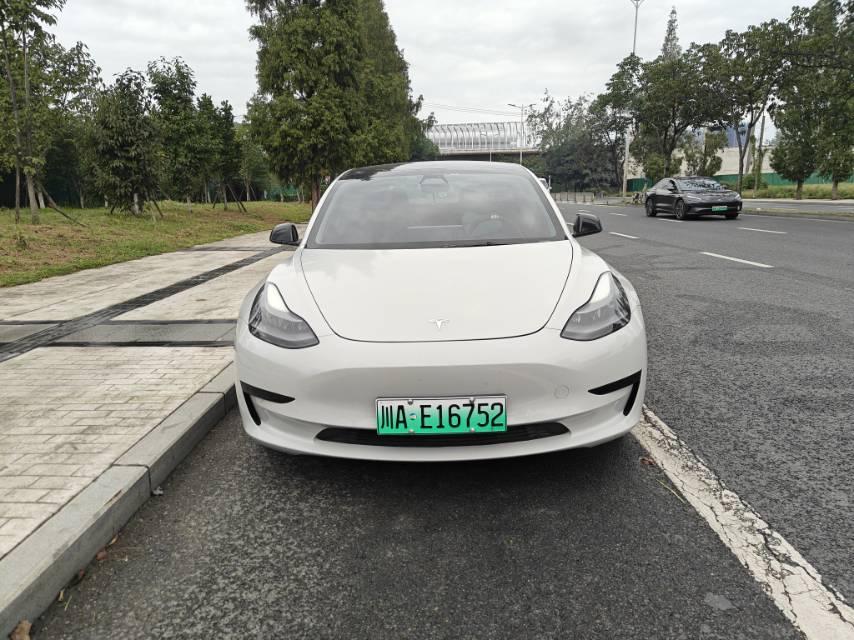 Tesla Model 3 2021 #5 Tesla Model 3 2021 car image #5