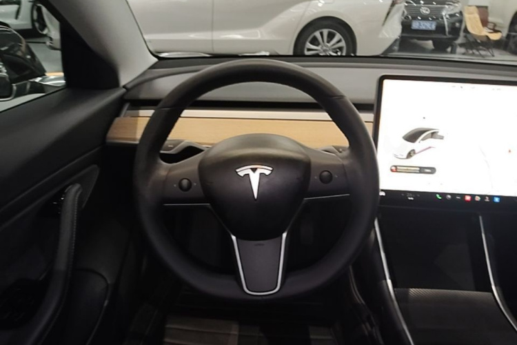 Tesla Model 3 2020 car image #13