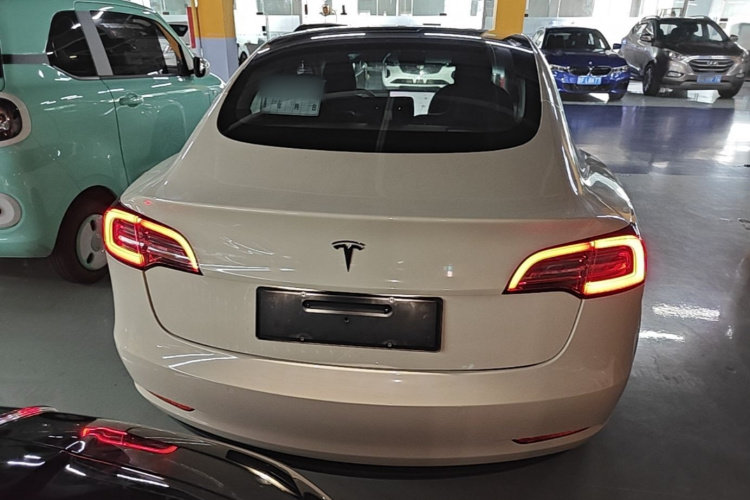 Tesla Model 3 2020 #6 Tesla Model 3 2020 car image #6