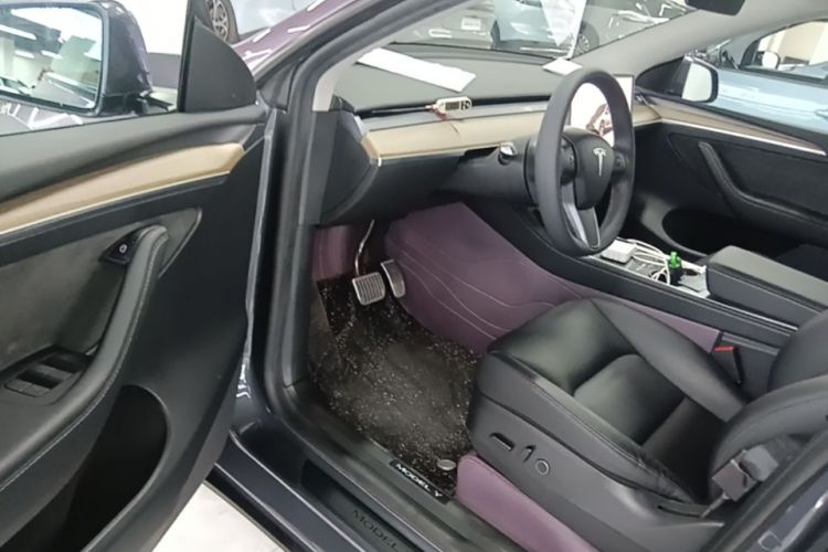 Tesla Model Y 2022 immagine di auto #16