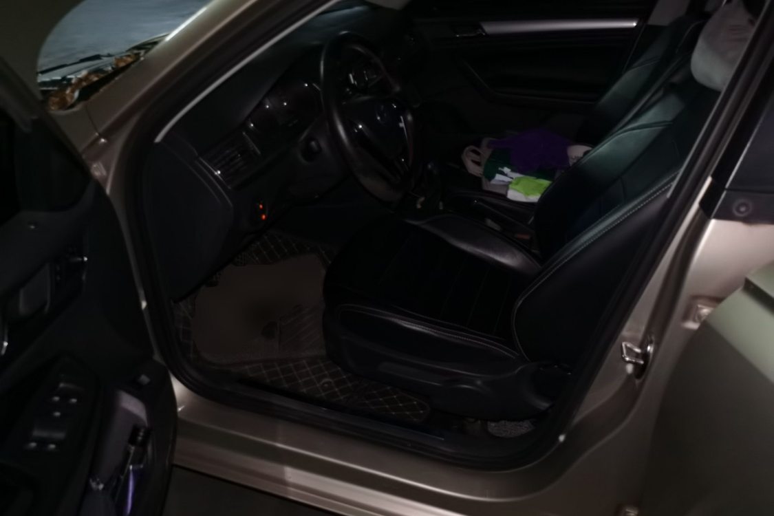 Volkswagen Bora 2018 car image #18