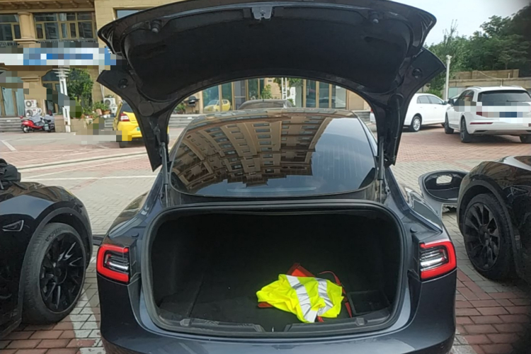 Tesla Model 3 2020 #19 Tesla Model 3 2020 immagine di auto #19