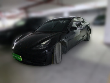 Tesla Model 3 2022 Tesla Model 3 2022 car image