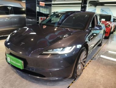 Tesla Model 3 2024 Tesla Model 3 2024 car image