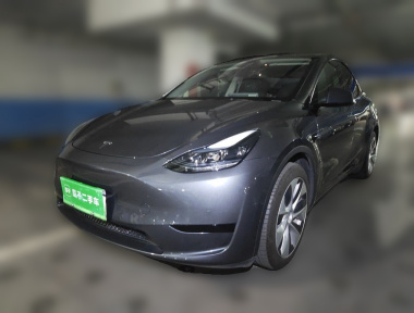 Tesla Model Y 2022 Tesla Model Y 2022 car image
