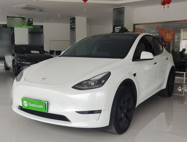 Tesla Model Y 2024 Tesla Model Y 2024 car image