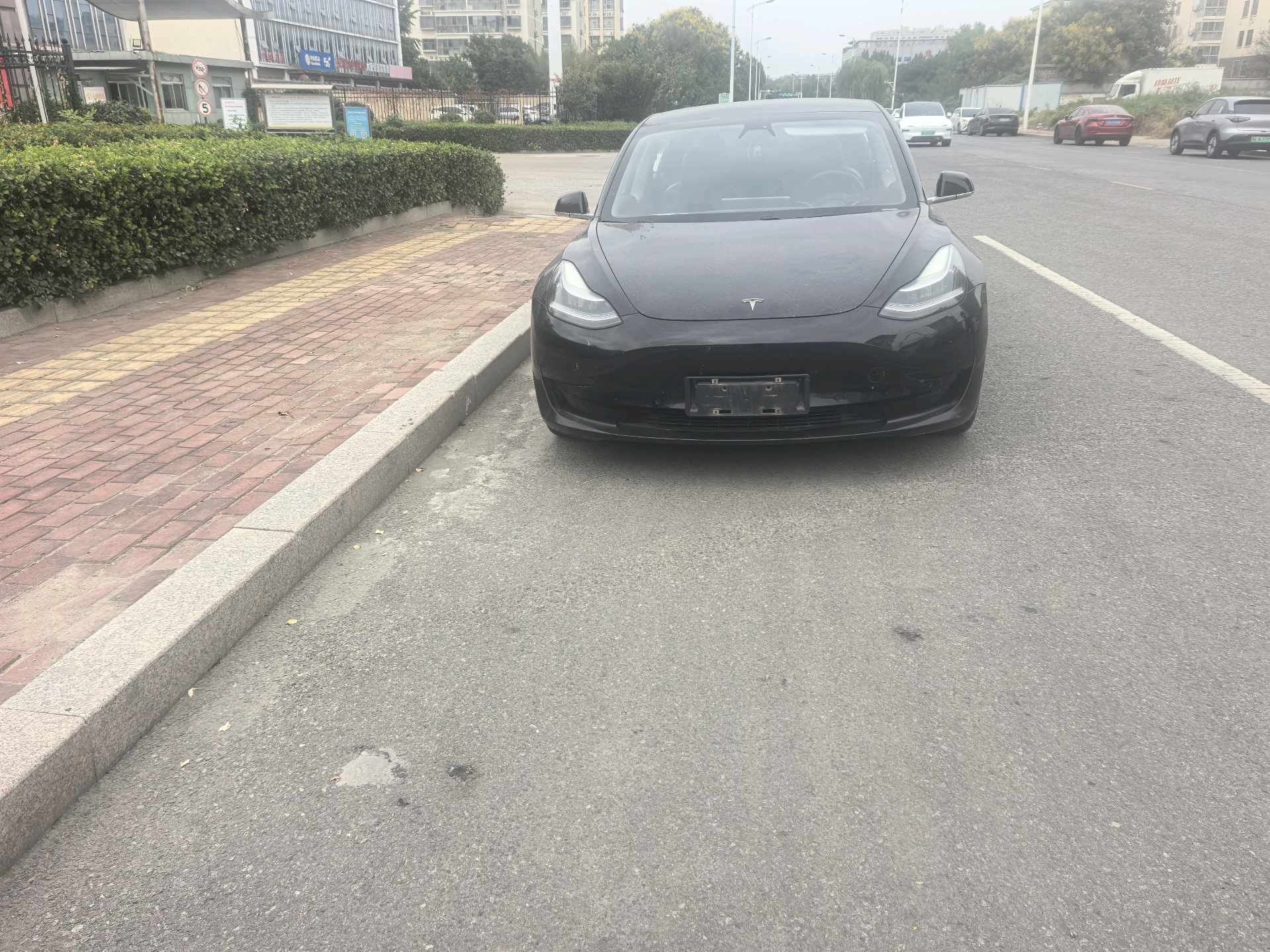 Tesla Model 3 2020 car image #2