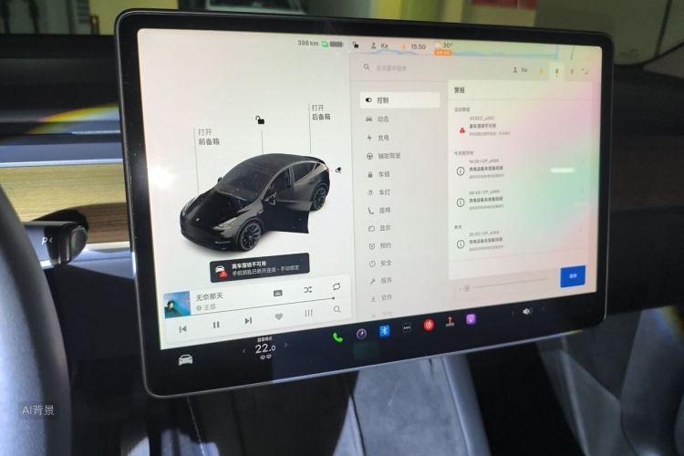Tesla Model Y 2021 car image #13