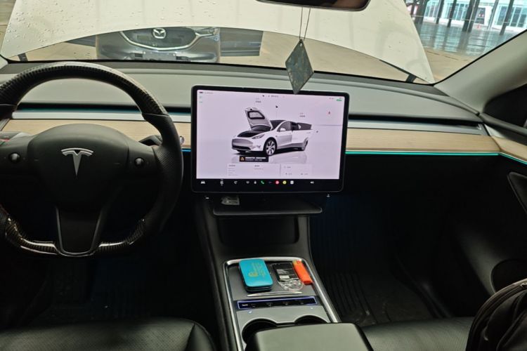 Tesla Model Y 2022 car image #13