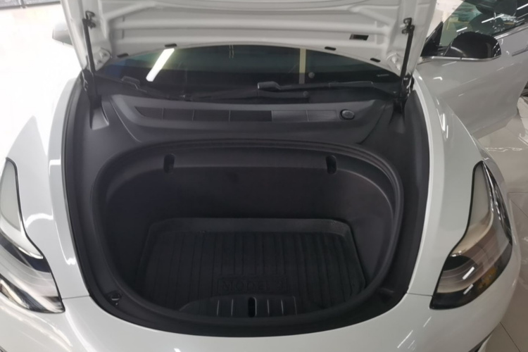 Tesla Model 3 2020 car image #20
