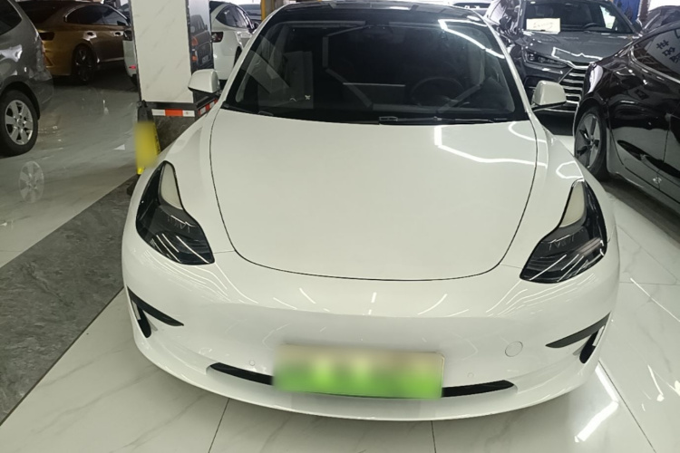 Tesla Model 3 2021 immagine di auto #3