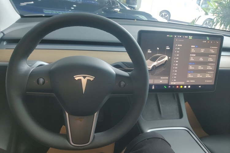 Tesla Model Y 2022 #10 Tesla Model Y 2022 immagine di auto #10