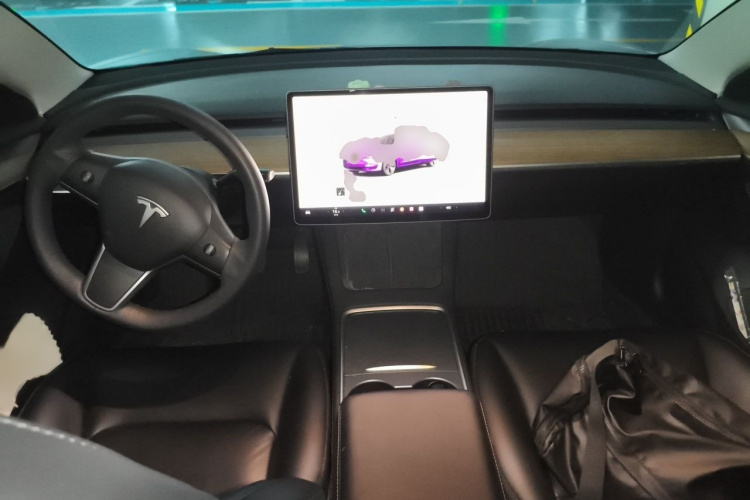 Tesla Model 3 2022 #12 Tesla Model 3 2022 car image #12