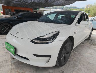 Tesla Model 3 2020 Tesla Model 3 2020 car image