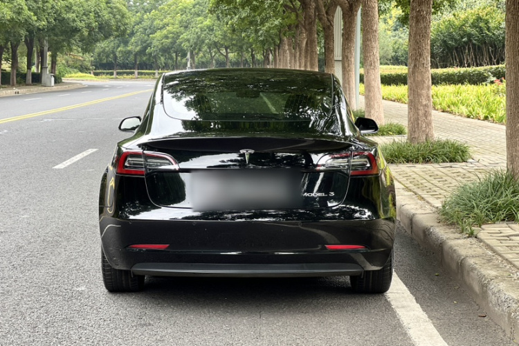 Tesla Model 3 2020 immagine di auto #3