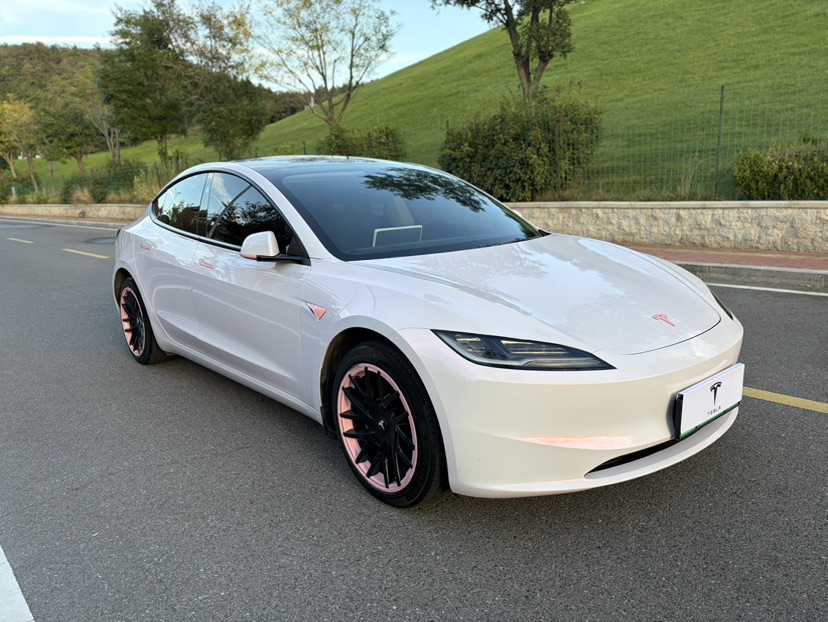 Tesla Model 3 2023 #3 Tesla Model 3 2023 car image #3