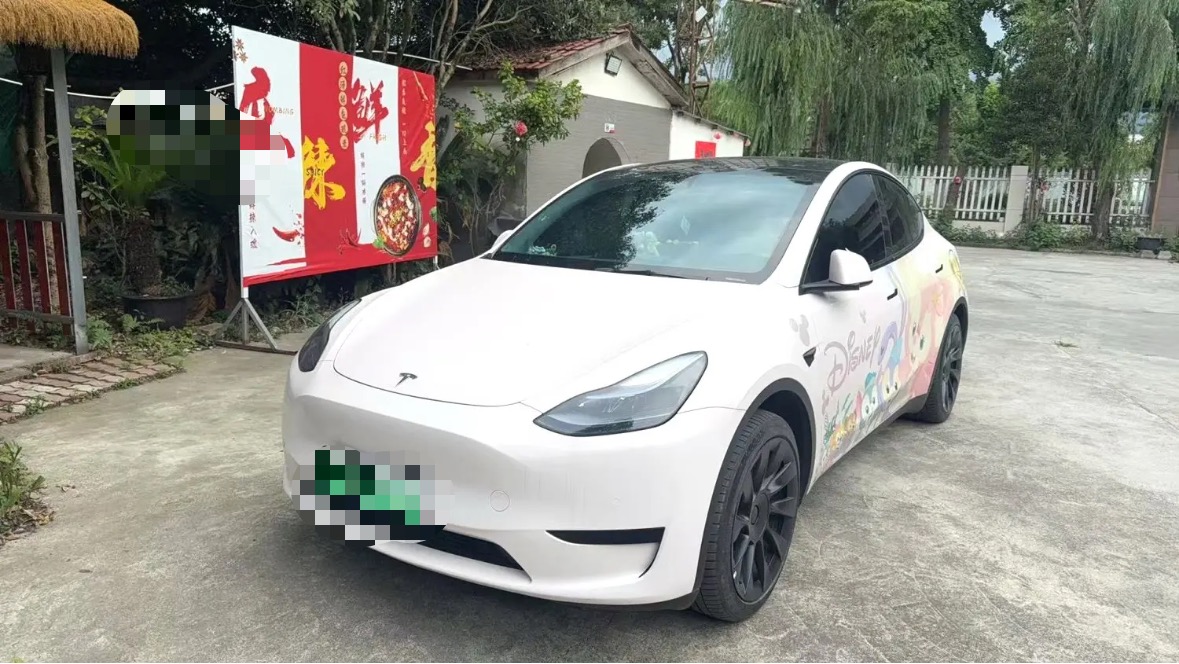 Tesla Model Y 2024 Tesla Model Y 2024 car image