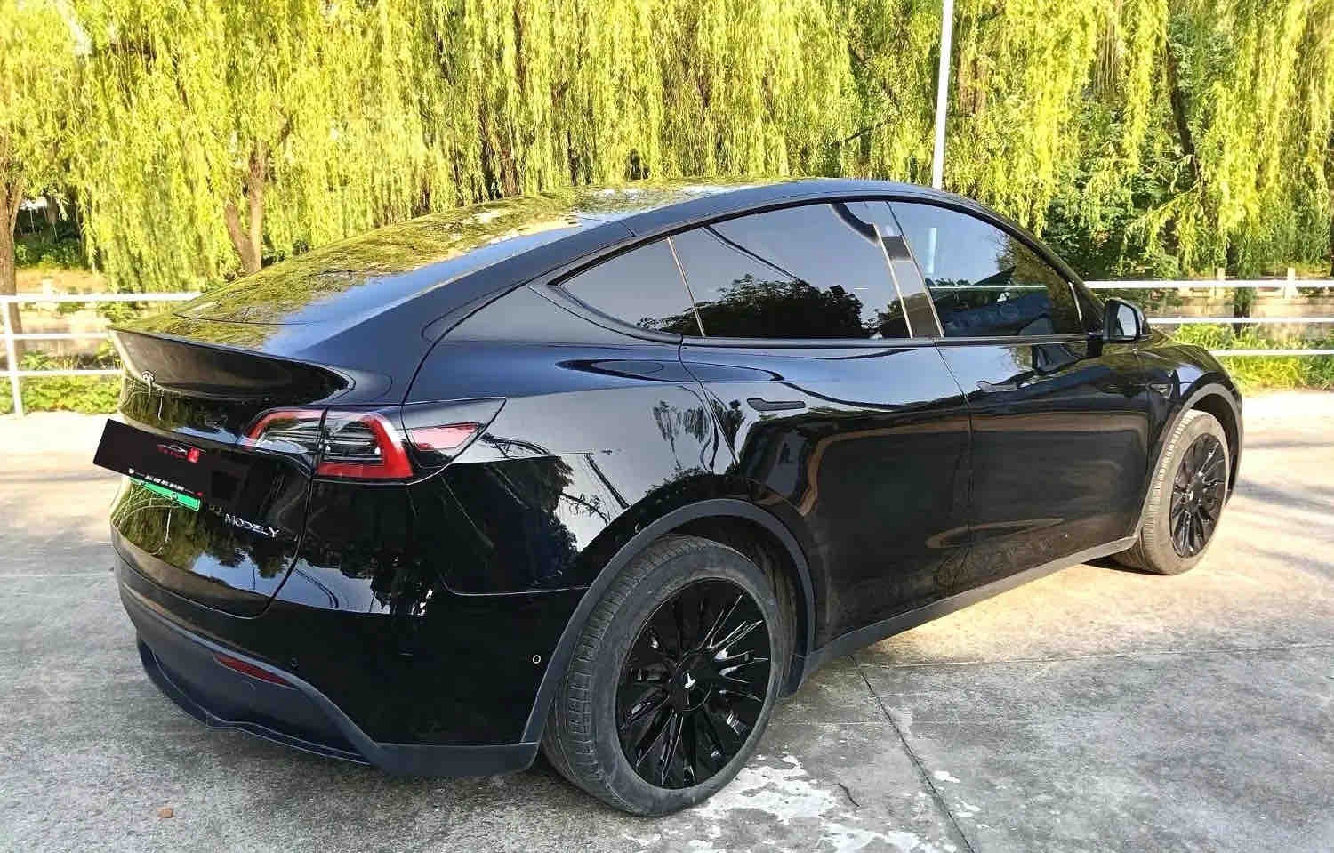 Tesla Model Y 2023 #6 Tesla Model Y 2023 car image #6