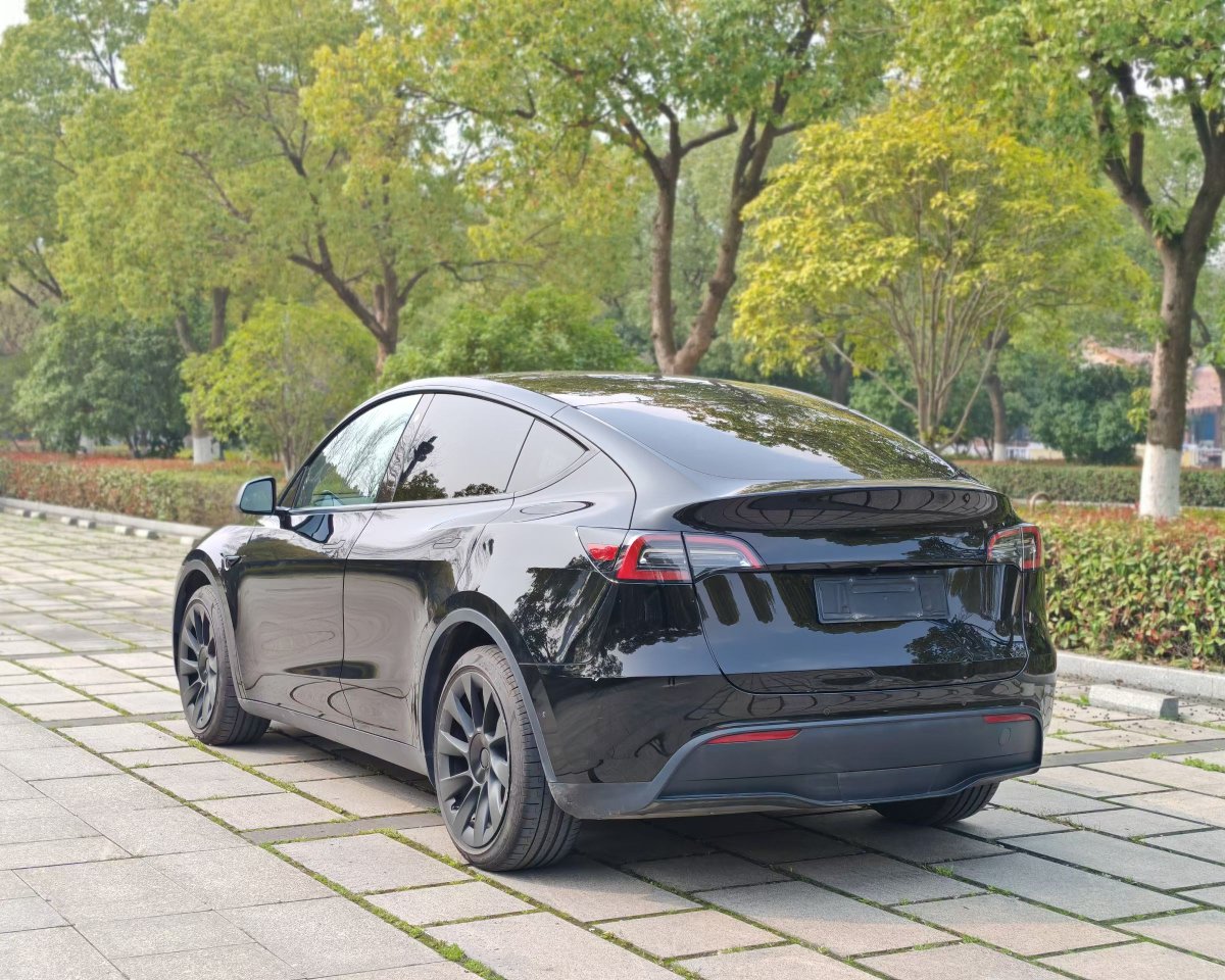 Tesla Model Y 2022 car image #7