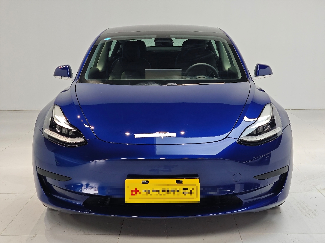 Tesla Model 3 2020 car image #4