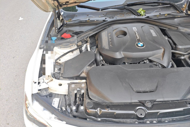 BMW 3 Series 2018 car image #28