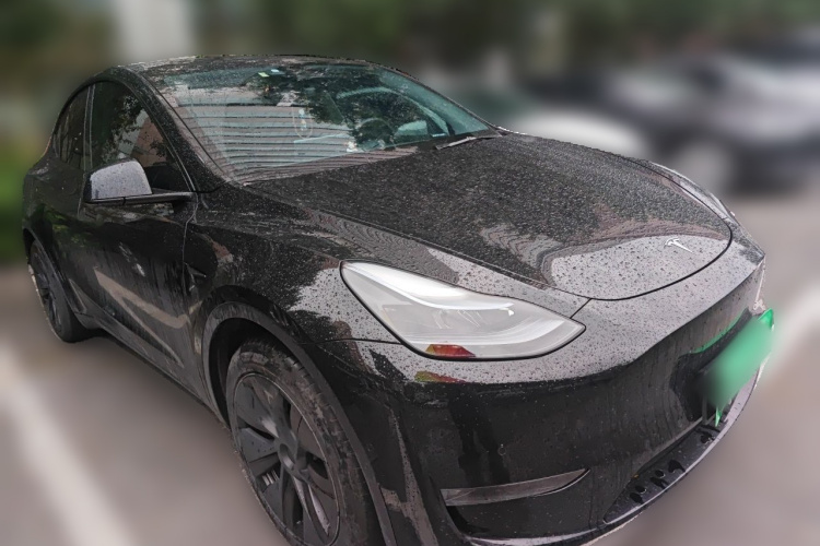 Tesla Model Y 2024 car image #4