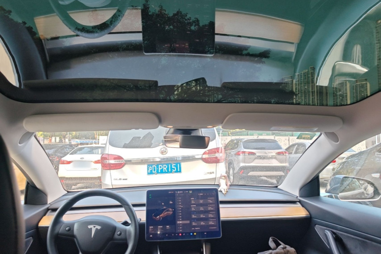 Tesla Model 3 2020 #18 Tesla Model 3 2020 صورة سيارة #18