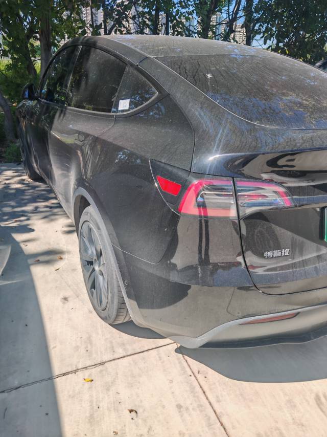 Tesla Model Y 2023 car image #2