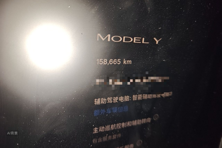 Tesla Model Y 2023 immagine di auto #14