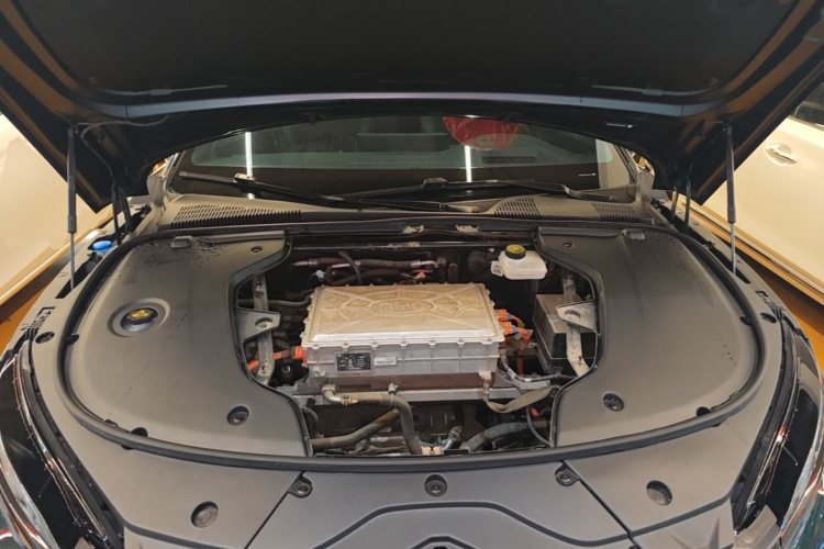 BYD Han 2022 car image #20