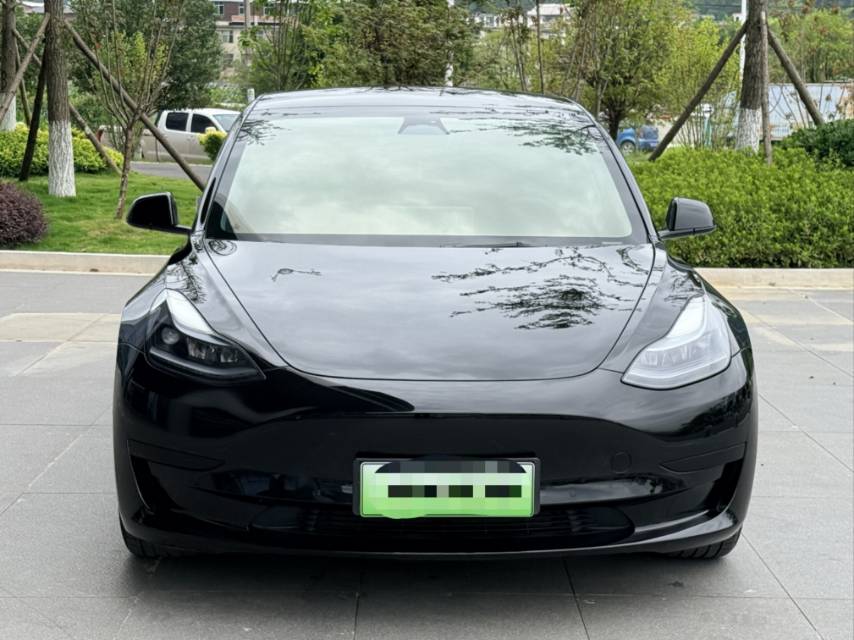 Tesla Model 3 2023 #2 Tesla Model 3 2023 car image #2