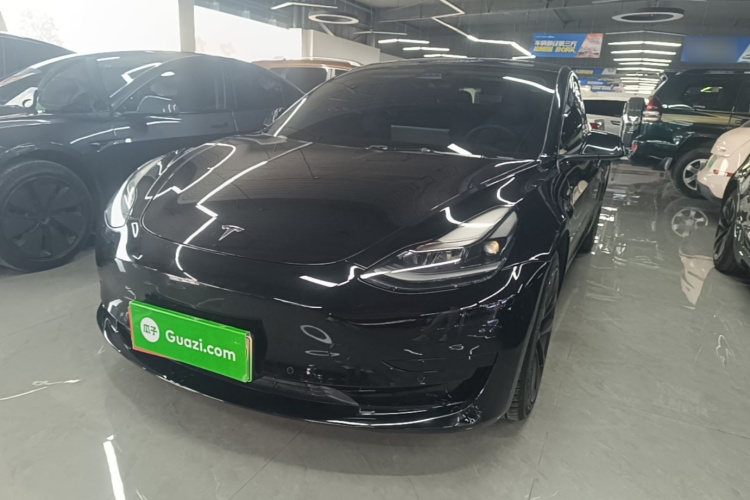 Tesla Model 3 2021 #2 Tesla Model 3 2021 car image #2