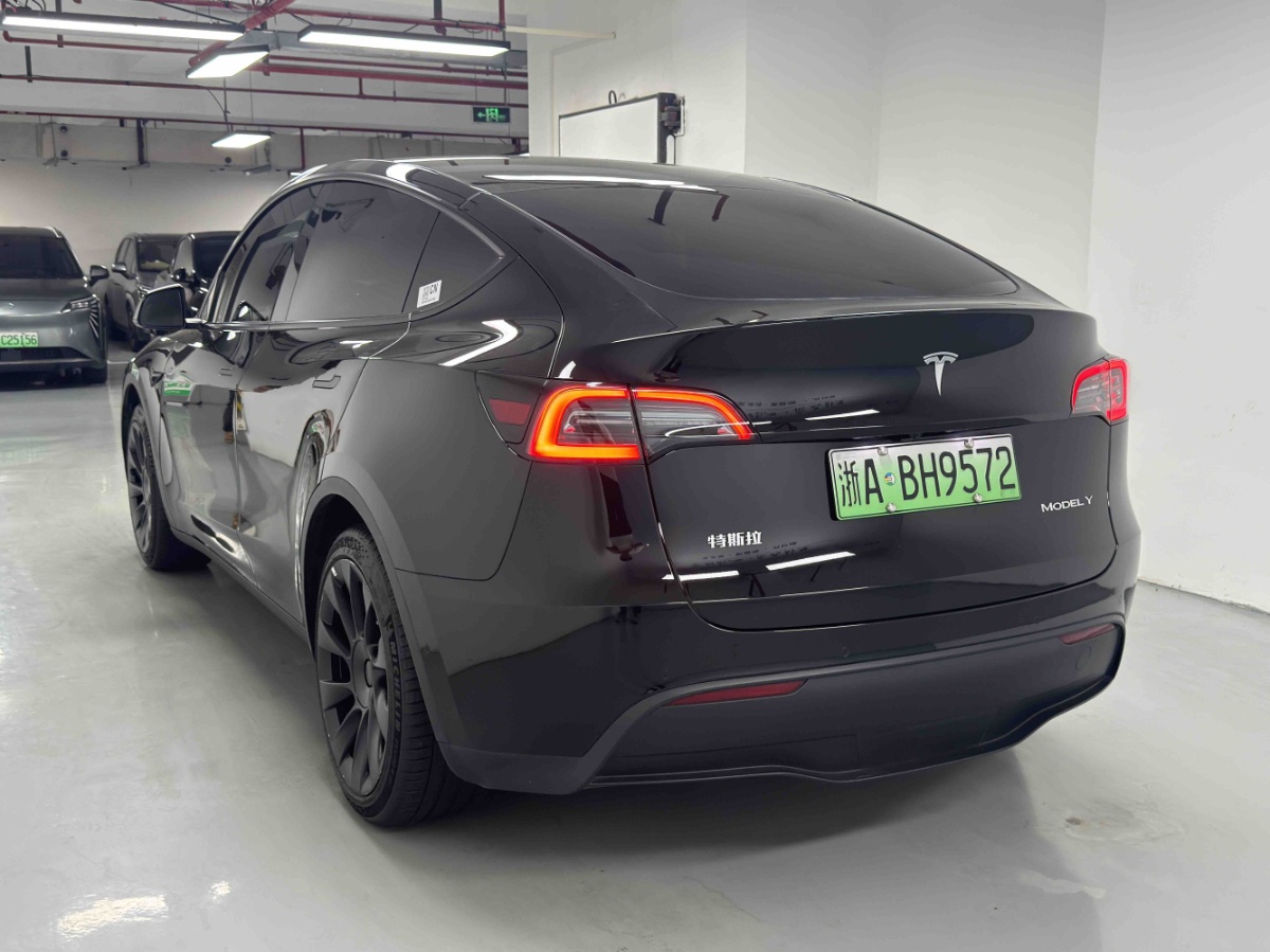 Tesla Model Y 1969 car image #6