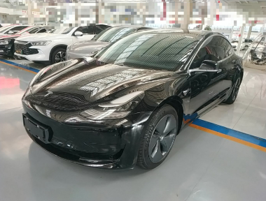 Tesla Model 3 2020 Tesla Model 3 2020 car image