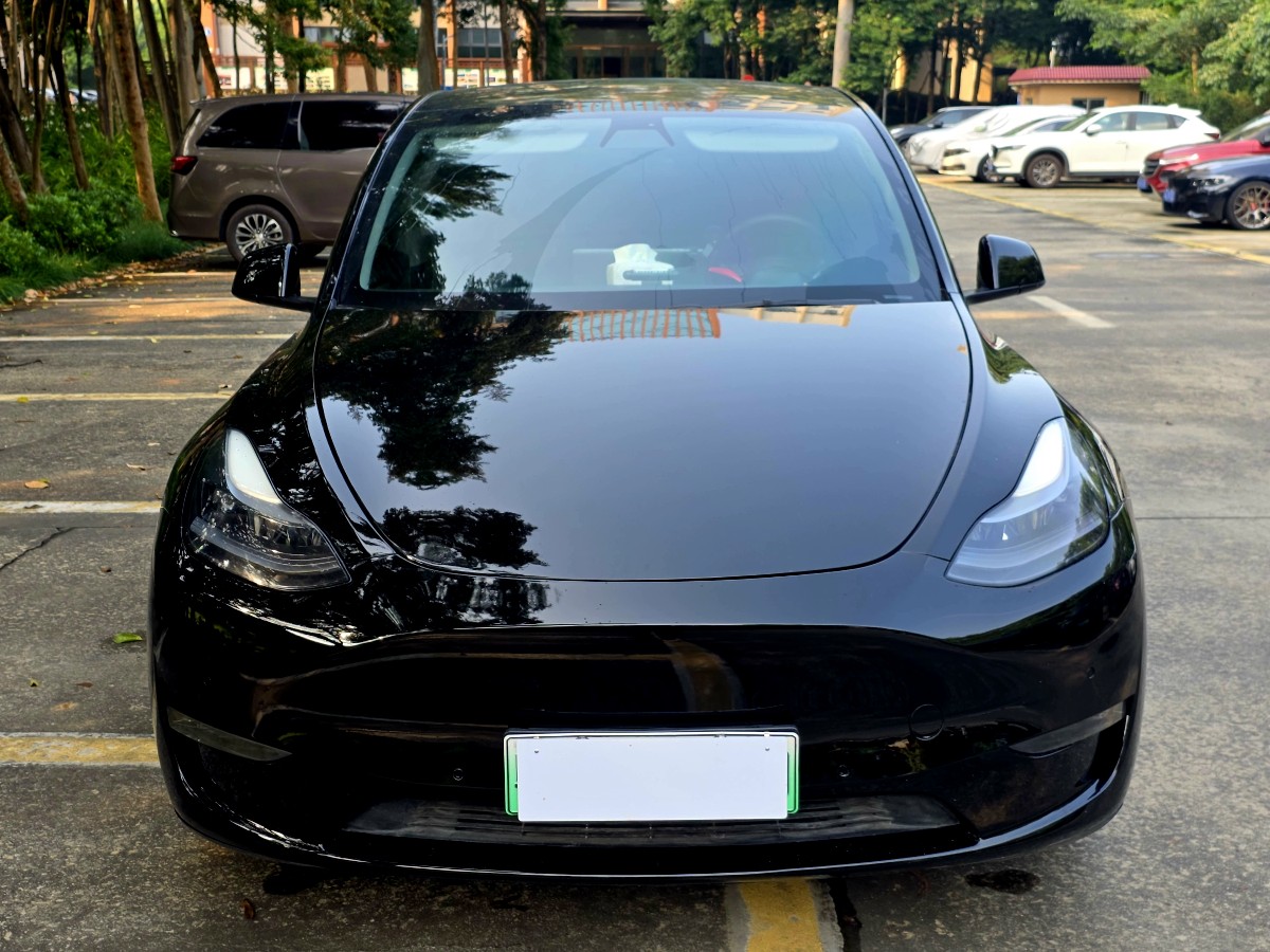 Tesla Model Y 2021 #2 Tesla Model Y 2021 car image #2