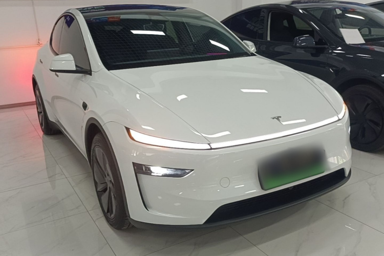 Tesla Model Y 2025 car image #4