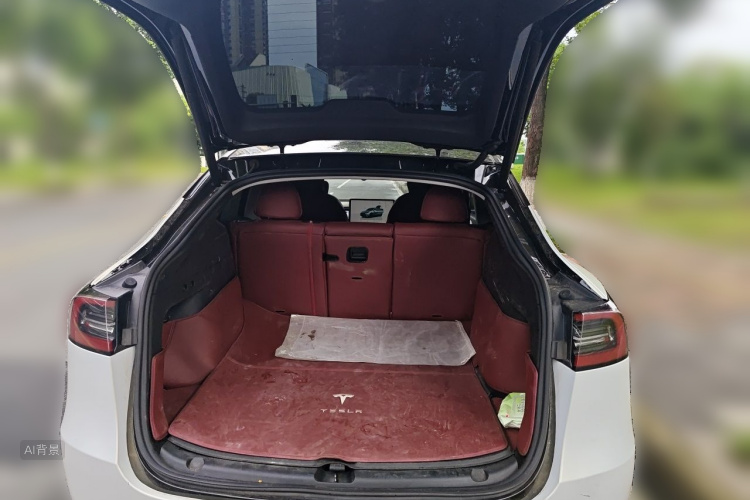 Tesla Model Y 2023 car image #21