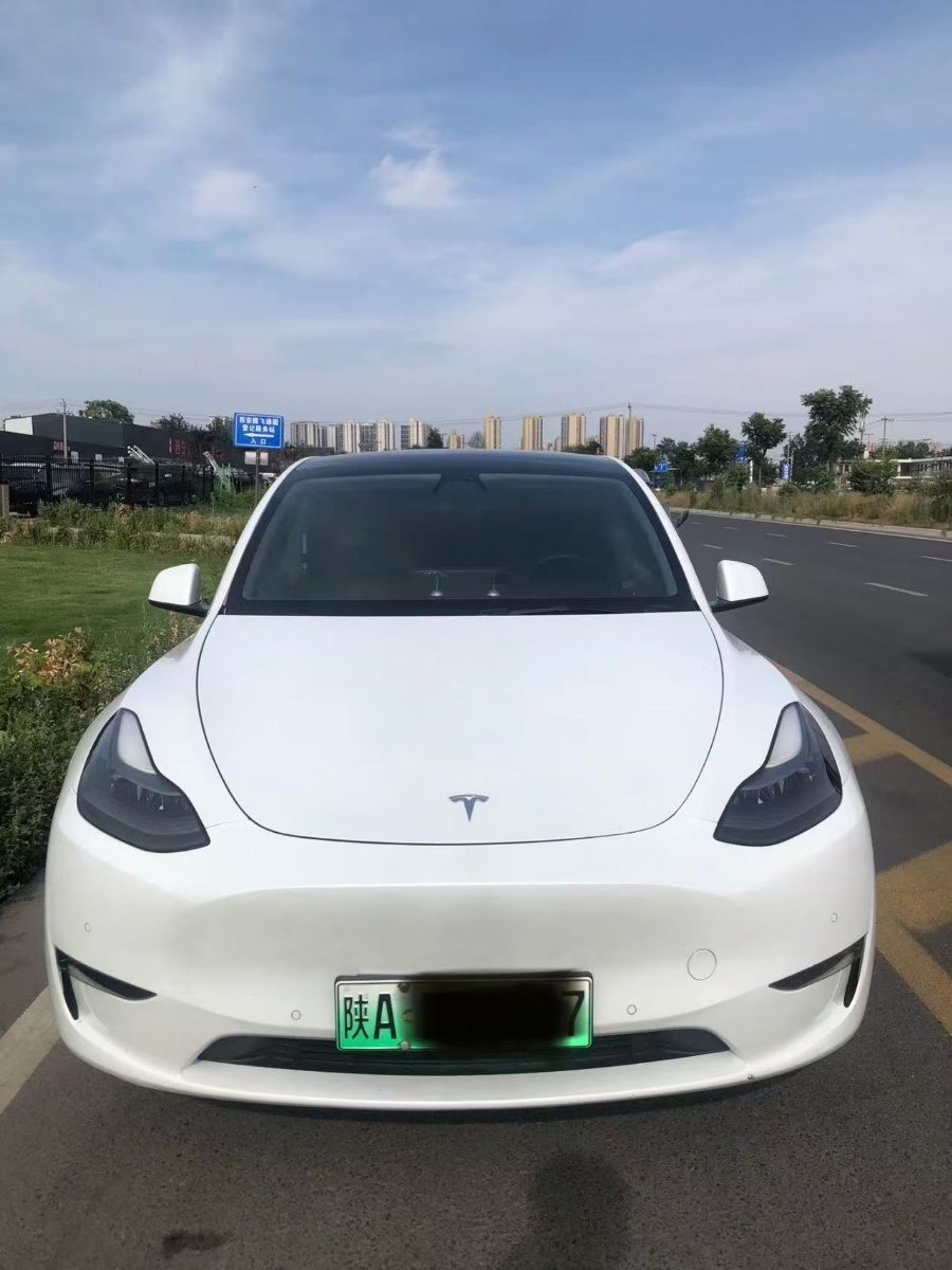 Tesla Model Y 2021 Tesla Model Y 2021 immagine di auto