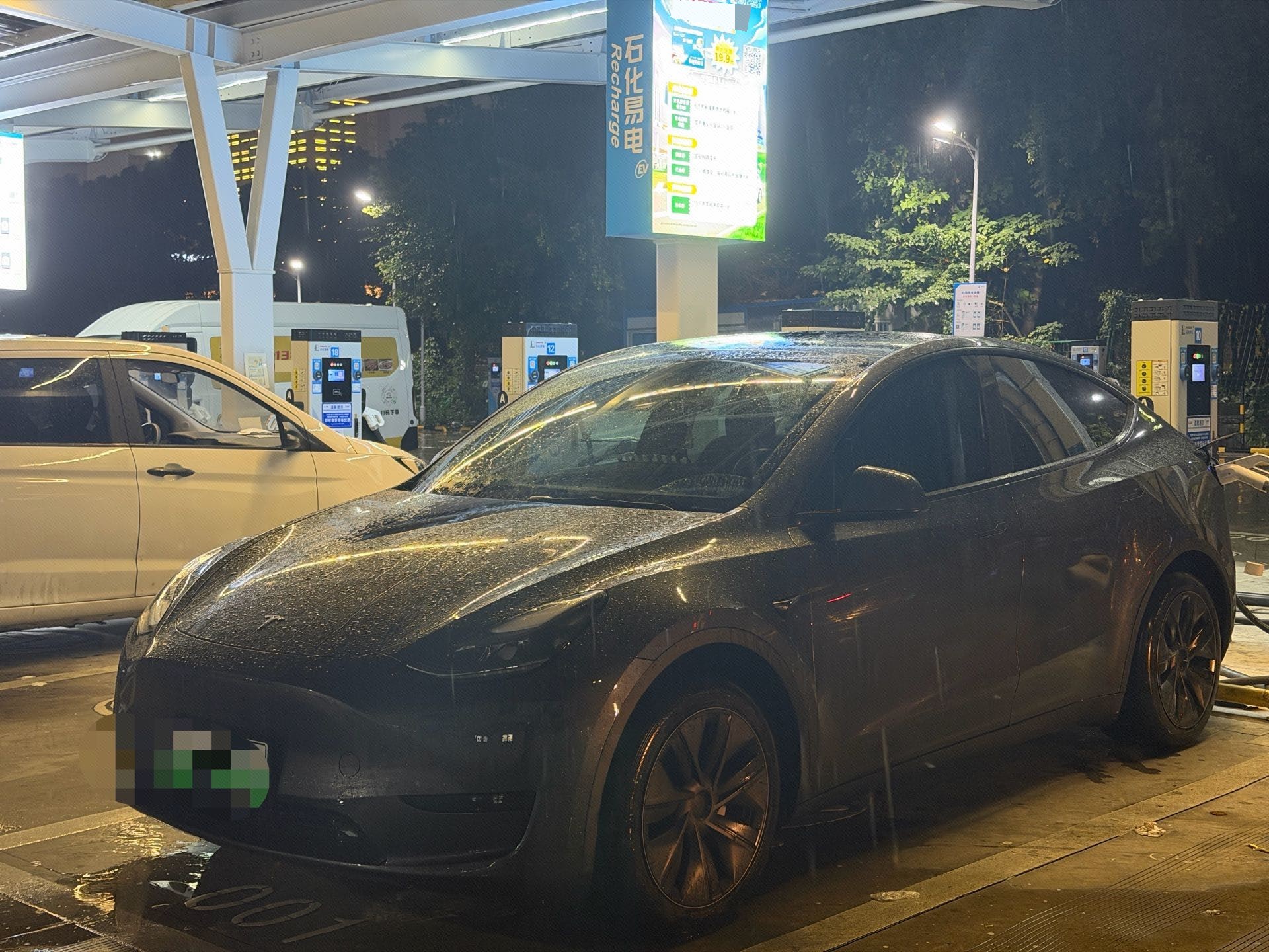 Tesla Model Y 2024 car image 